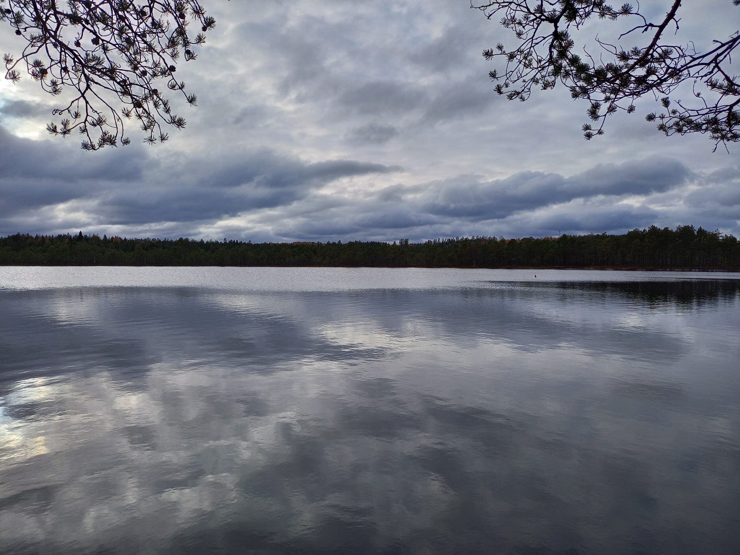 Pilvinen järvimaisema